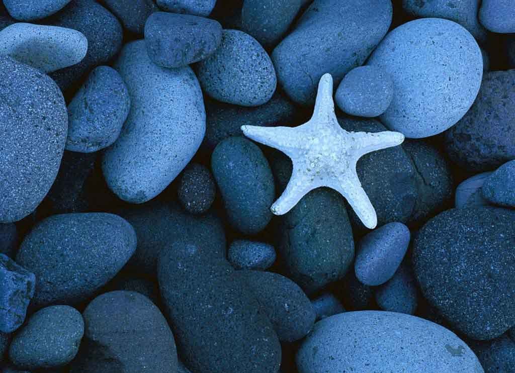 mortgage broker Vancouver V6J 1M7 